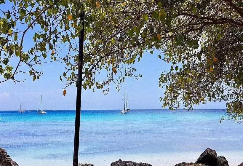 Hotelli Comfort Inn & Suites Tobago