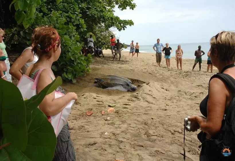 Hotelli Comfort Inn & Suites Tobago