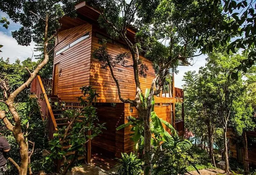 Amaresa Resort & Sky Bar   Experience Nature