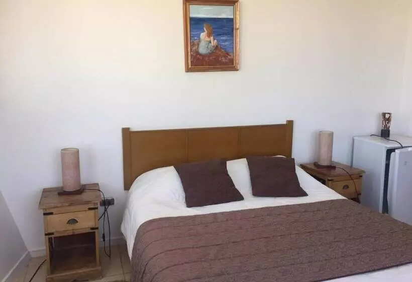 酒店 Blanco Encalada