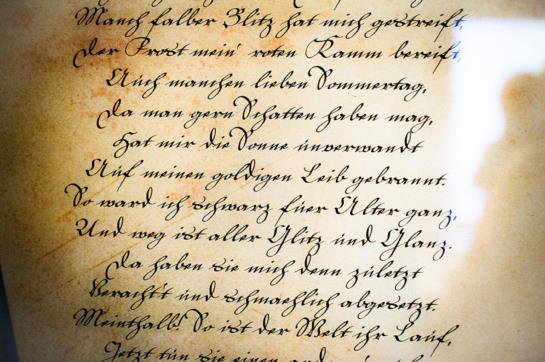 Отель Brunnenstüble