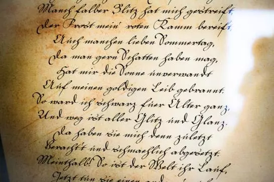 호텔 Brunnenstüble