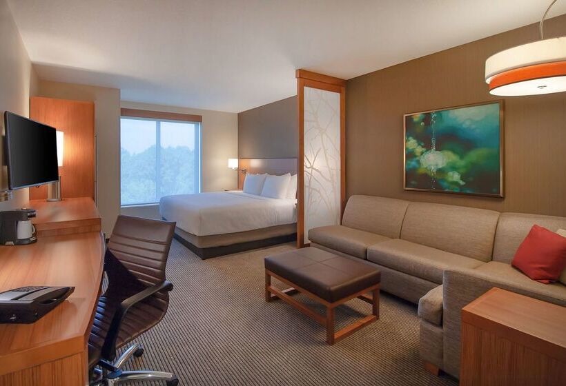 فندق Hyatt Place Durham Southpoint