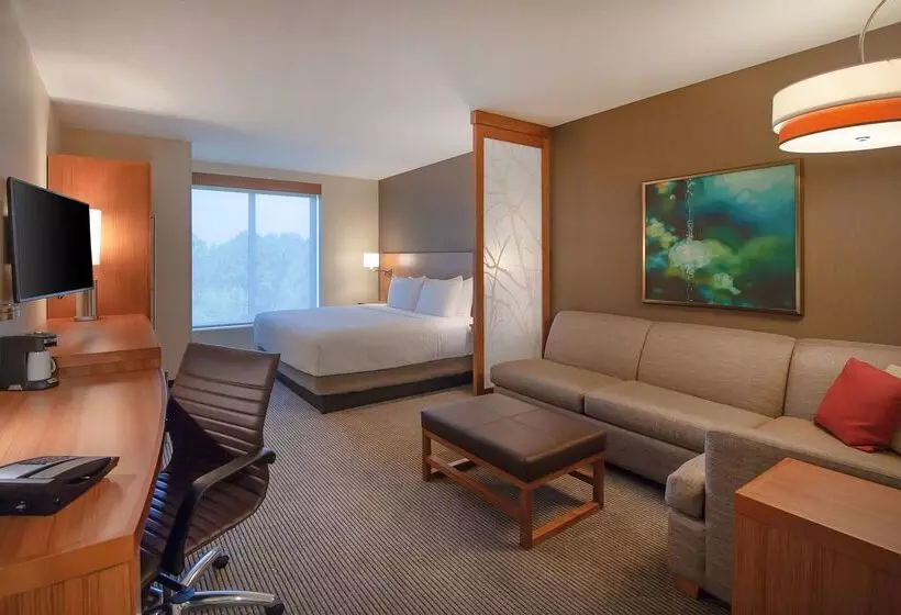 호텔 Hyatt Place Durham Southpoint