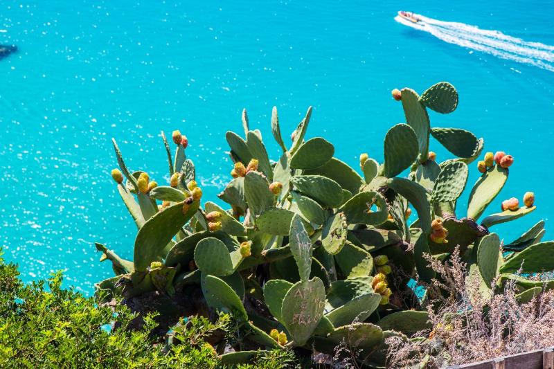 فندق Villaggio Magic Valtur Capo Rizzuto