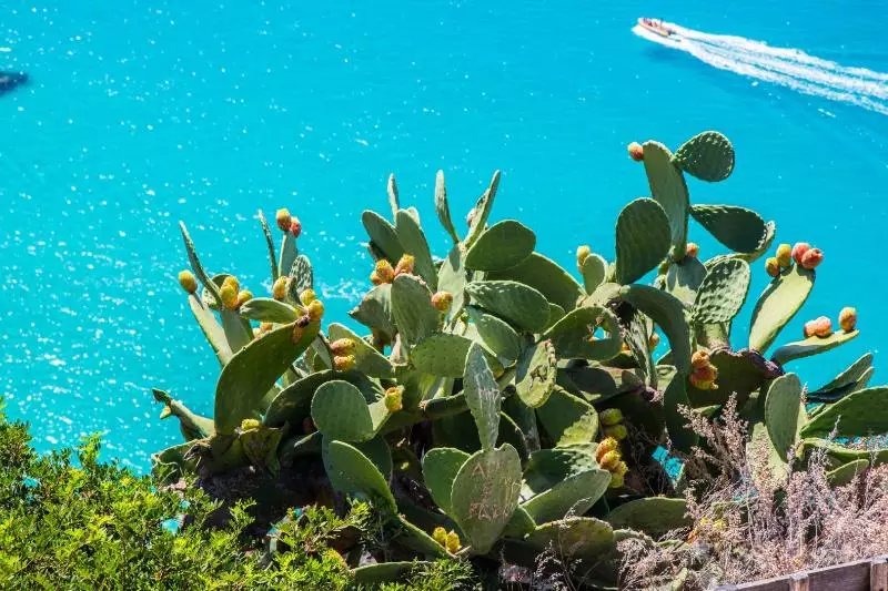 فندق Villaggio Magic Valtur Capo Rizzuto