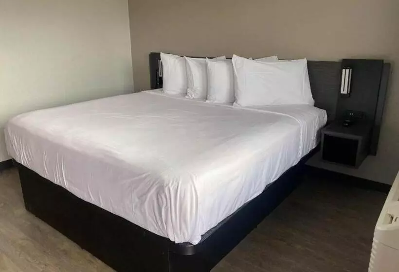 Motel 6 Albuquerque, Nm   Midtown