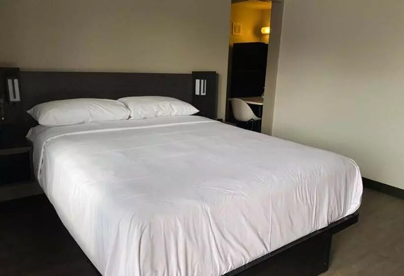 Motel 6 Albuquerque, Nm   Midtown