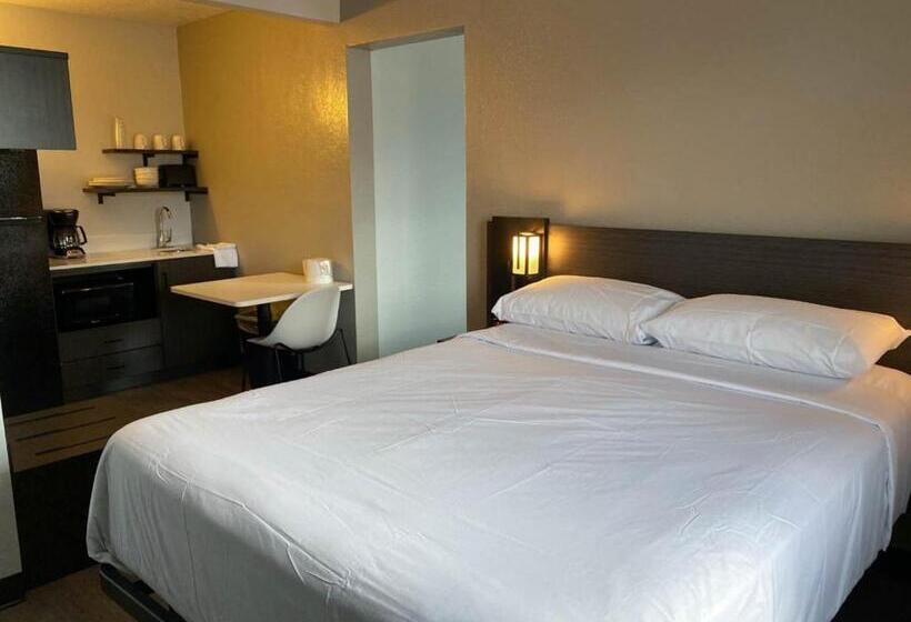 Motel 6 Albuquerque, Nm Midtown