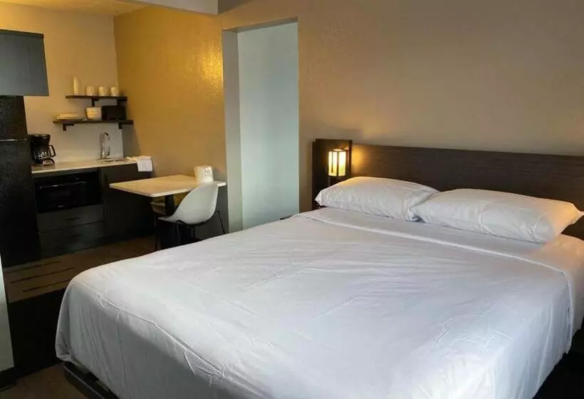 Motel 6 Albuquerque, Nm   Midtown