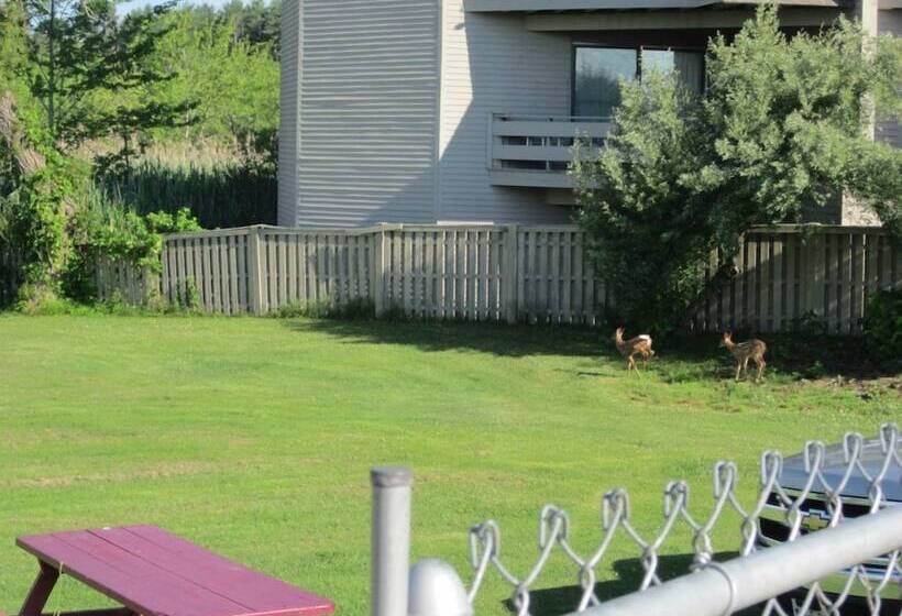 Мотель Windjammer By The Sea