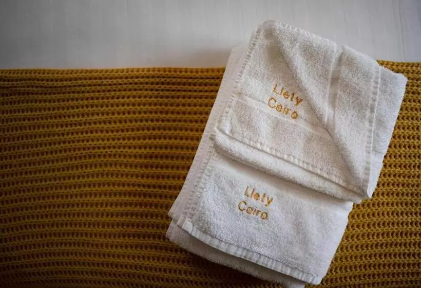 膳宿费 Llety Ceiro Guesthouse