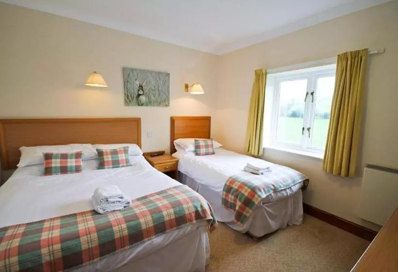 膳宿费 Llety Ceiro Guesthouse