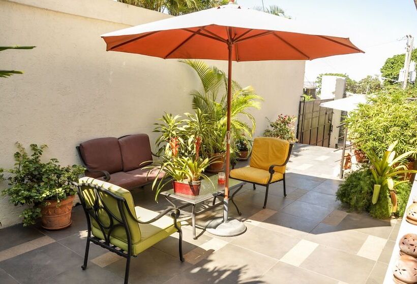 تختخواب و صبحانه Allamanda