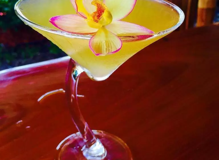 Caribbean Resort By The Ocean