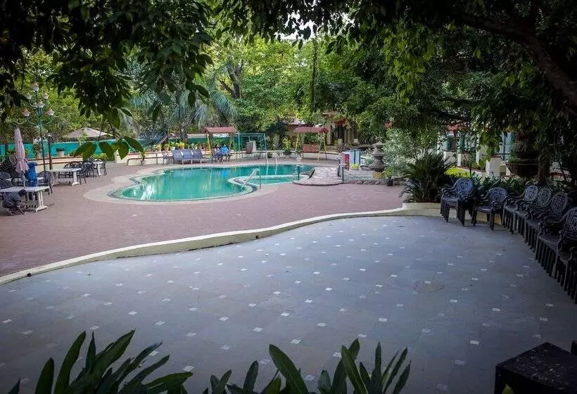 호텔 Adamo The Resort