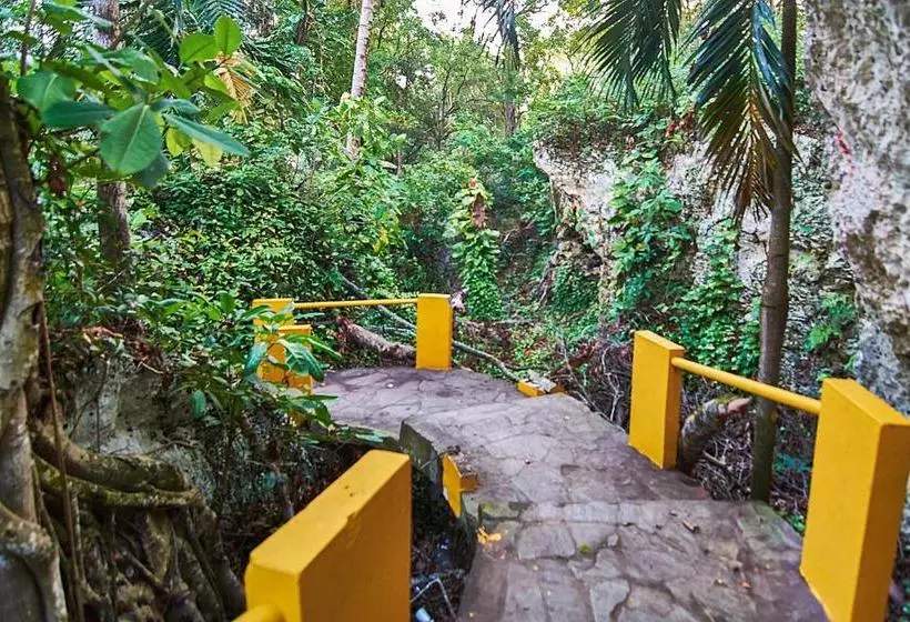 هتل Grand Laguna Beach Properties By Caribe Stays