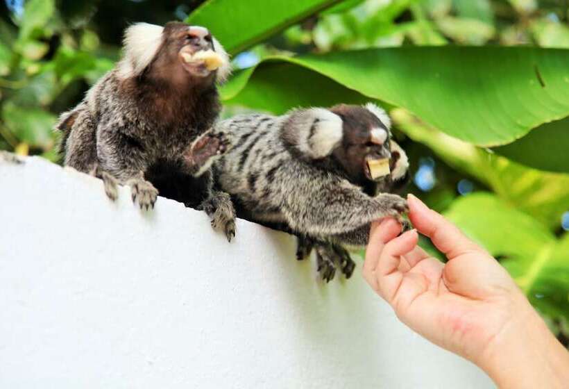 فندق Pousada Lua Cheia