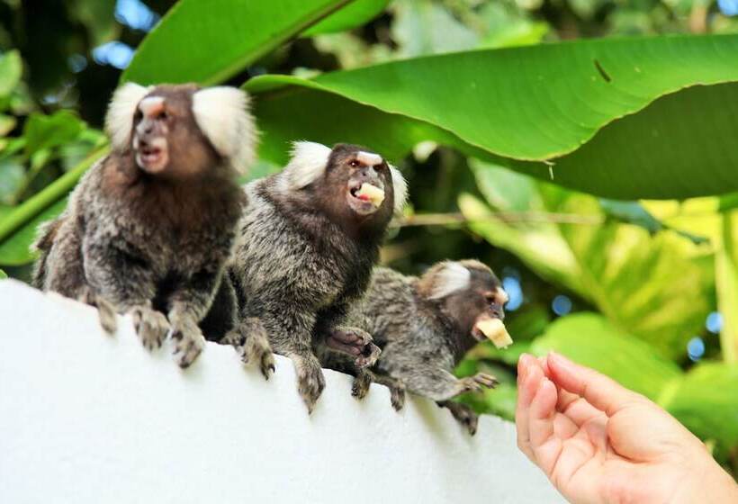 فندق Pousada Lua Cheia