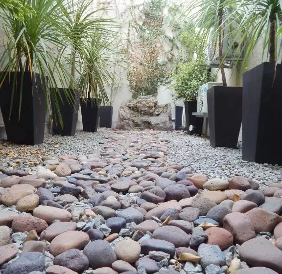 ホテル Puerto Mercado