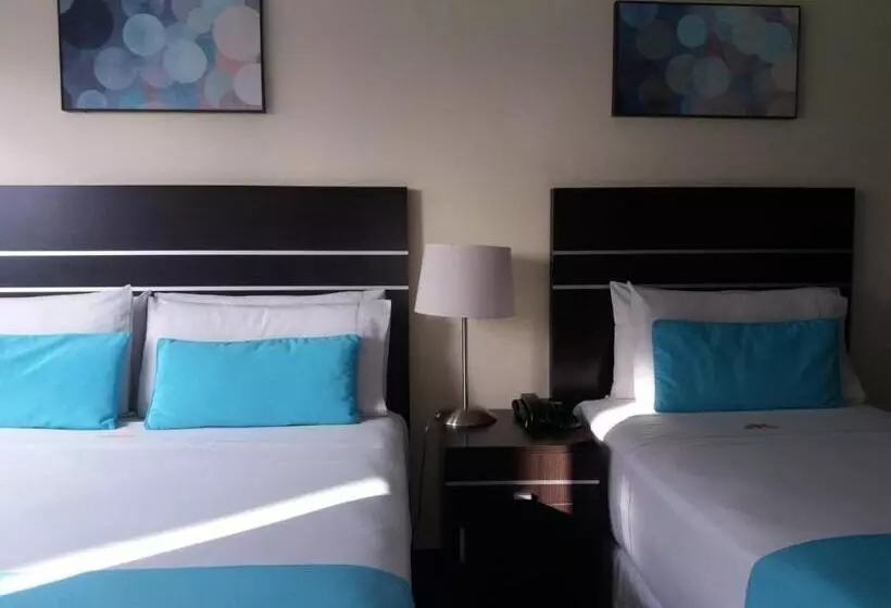 ホテル Puerto Mercado