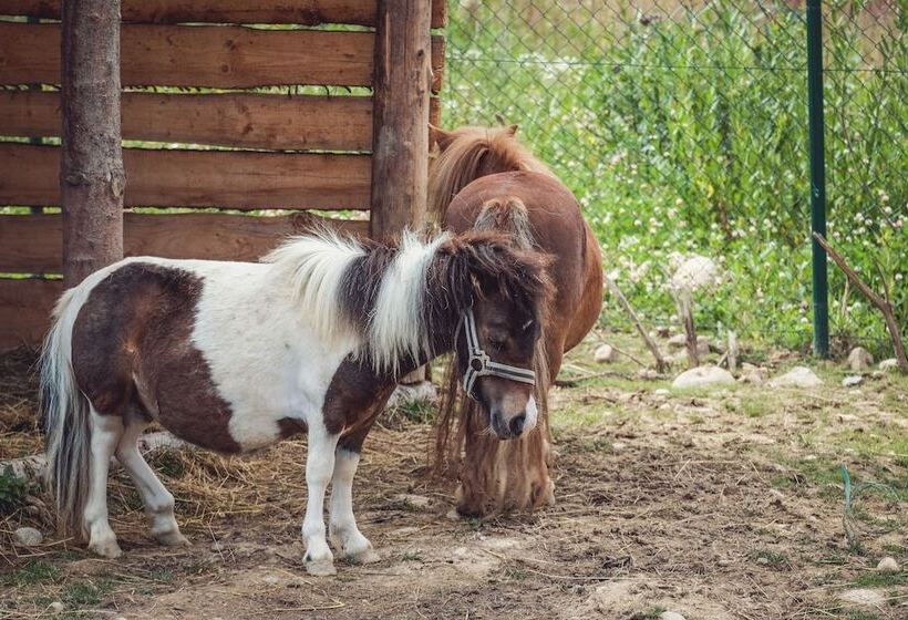 בית מלון כפרי Tatragolf Mountain Resort
