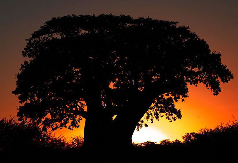 Hotel Thabankulu Game Resort