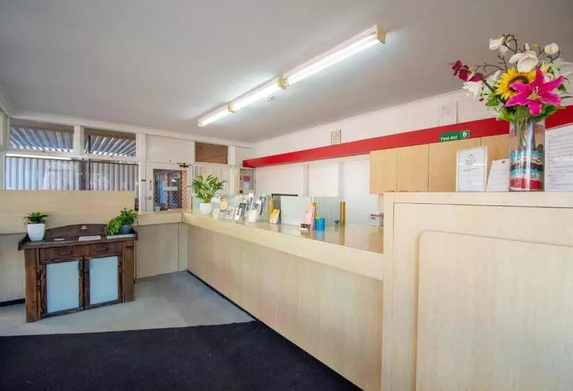 酒店 Midcity Motor Lodge