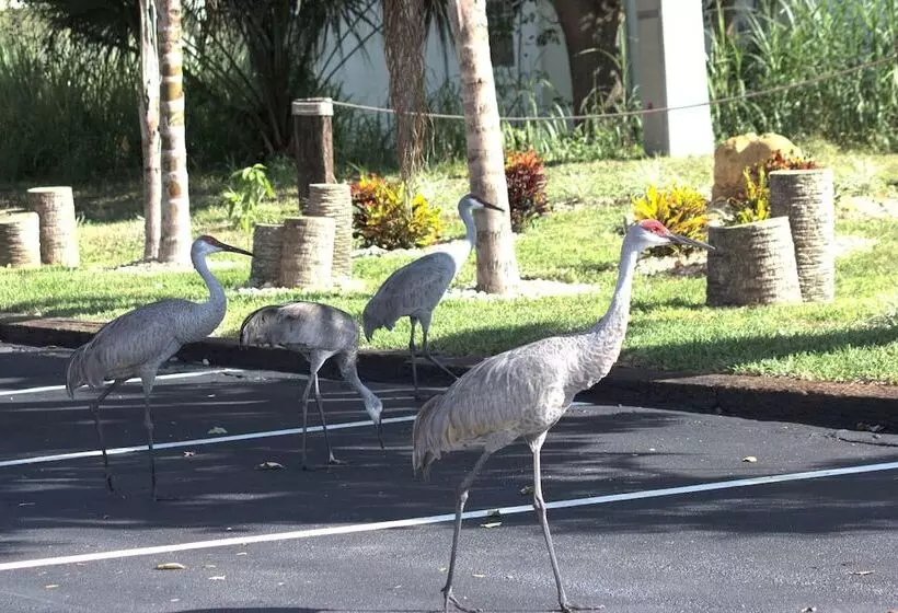 汽车旅馆  At Home Inn  Fort Pierce