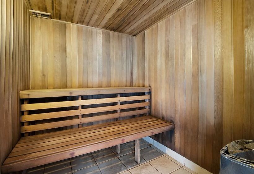 Surfers International Gold Coast Accommodation