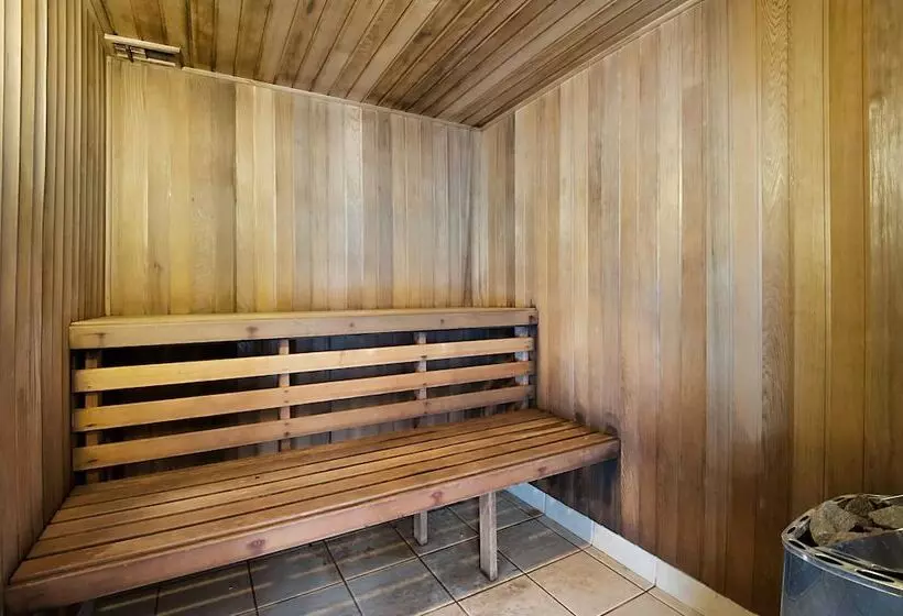 Surfers International Gold Coast Accommodation