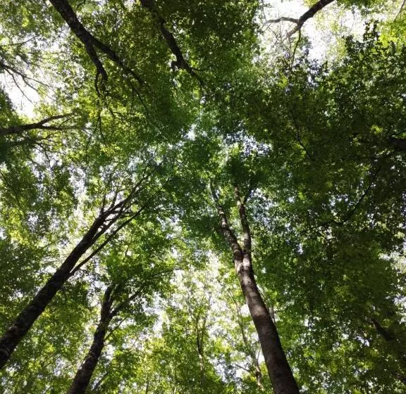 Aamiaismajoitus (B&B) A Casa Di Nonna
