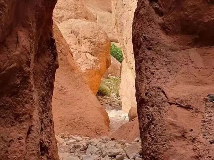 هتل Berbere De La Montagne