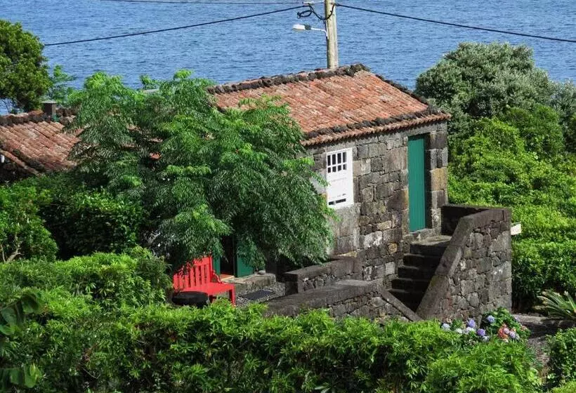 ホテル Casa Adega Alto Do Passinho