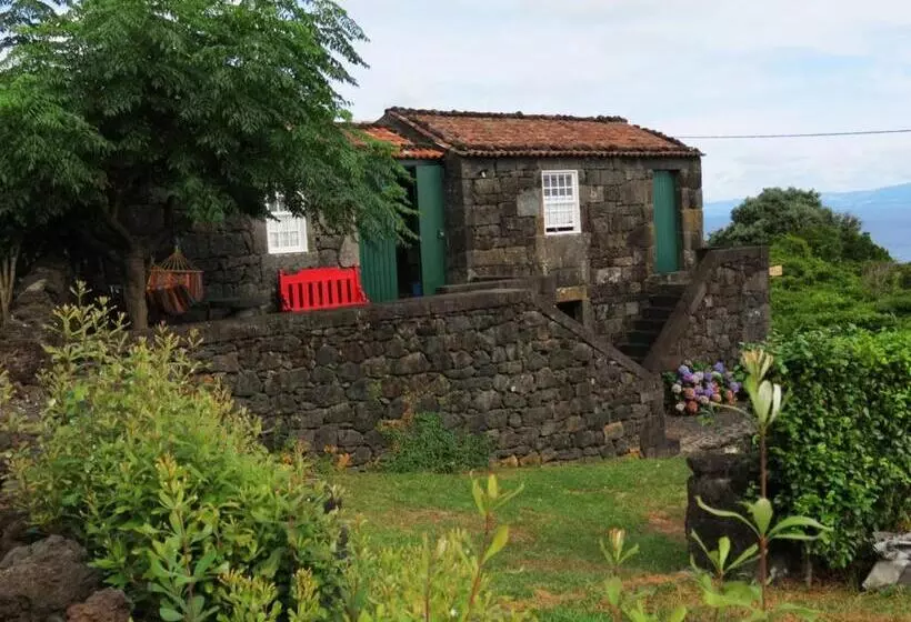 ホテル Casa Adega Alto Do Passinho