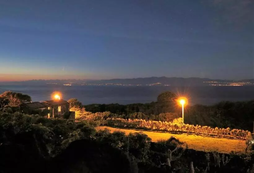 ホテル Casa Adega Alto Do Passinho