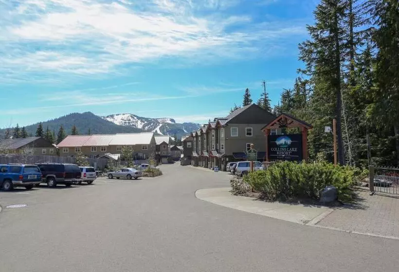 ホテル The Chefs Chalet At Collins Lake