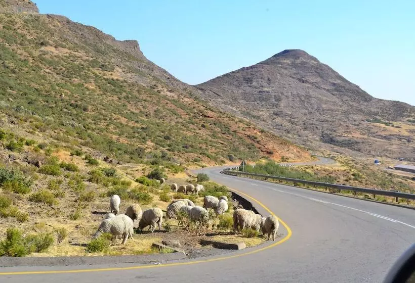 هتل Morning Star Lodge