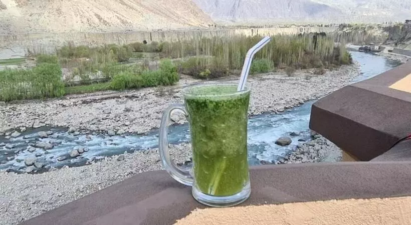 هتل Indus Lodges Gilgit