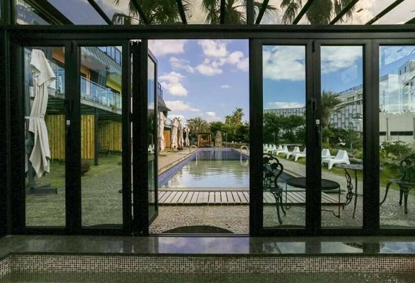 בית מלון כפרי Seogwipo Black Land Lace Spa Pension