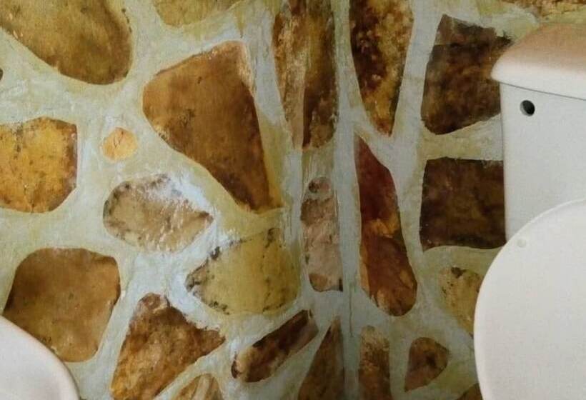 هتل Songbird Safari Lodge