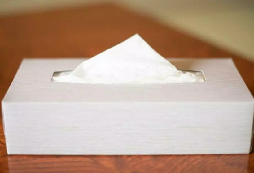 Hotelli Yamanaka Lake ｒｙｏｚａｎ   Vacation Stay 32152v