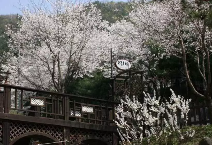 Hotelli Yangpyeong Dorothy Valley Pension