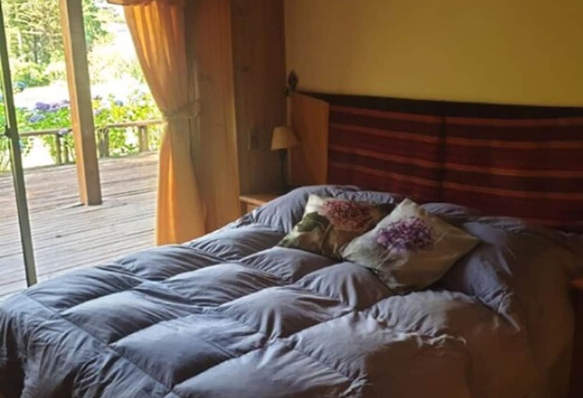 בית מלון כפרי Cabañas   Casa Lago Villarrica