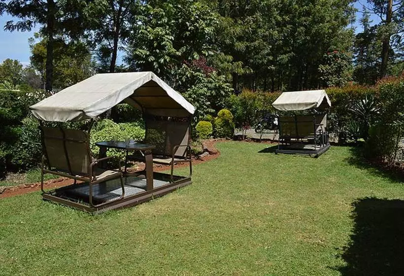 هتل Gracemont Guesthouse