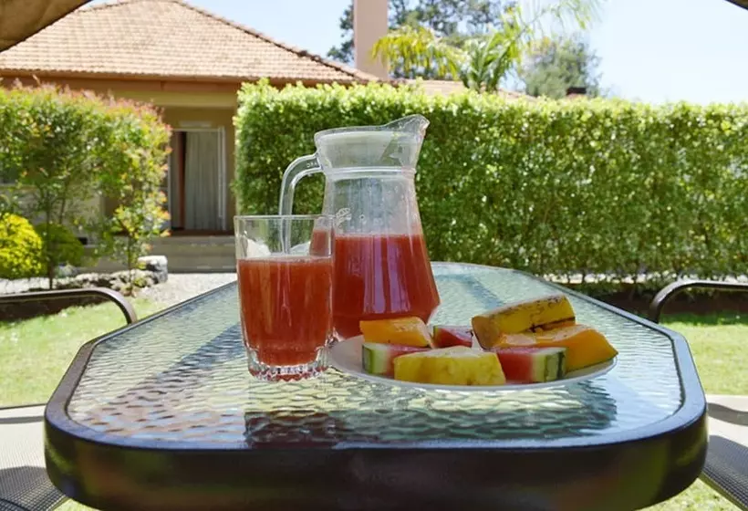 هتل Gracemont Guesthouse