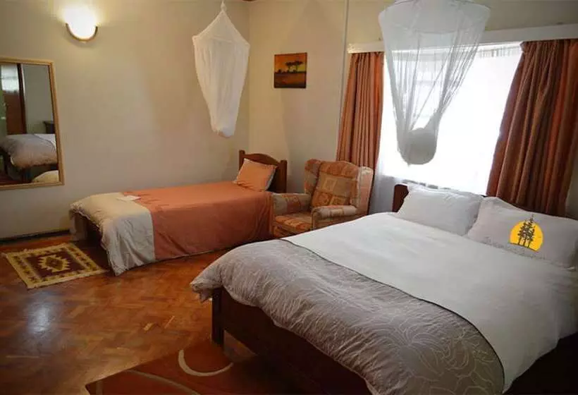 هتل Gracemont Guesthouse