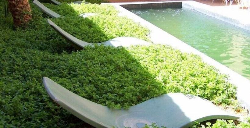 Hôtel Kasbah Ait Moussa