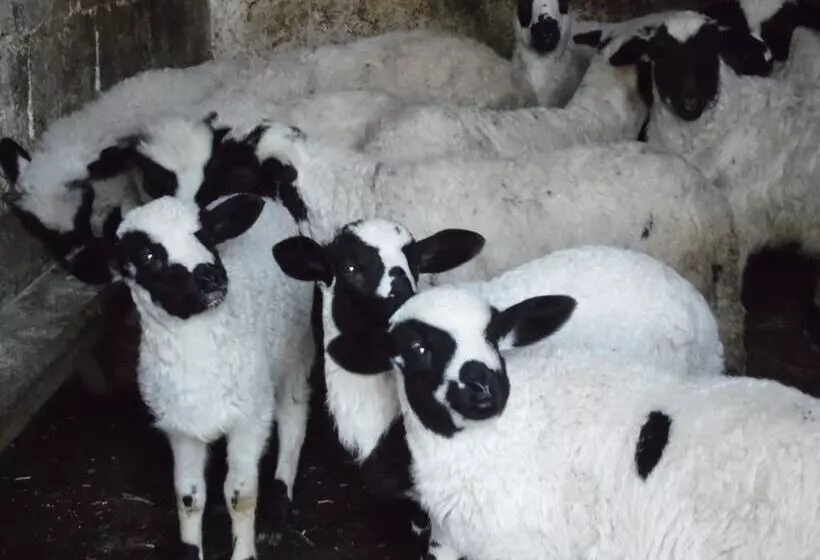 Laila Otel  Karaburun