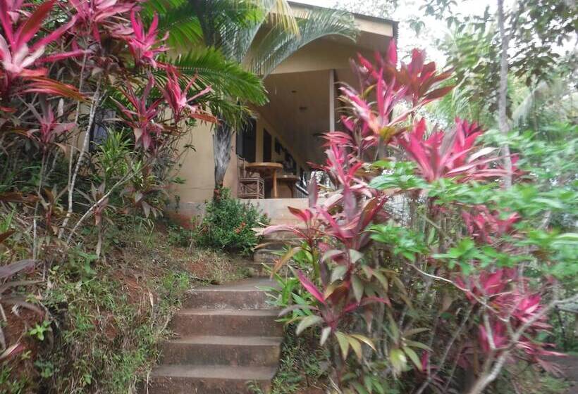 Club Fred Hotel Costa Rica